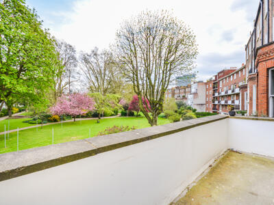 Picture 12